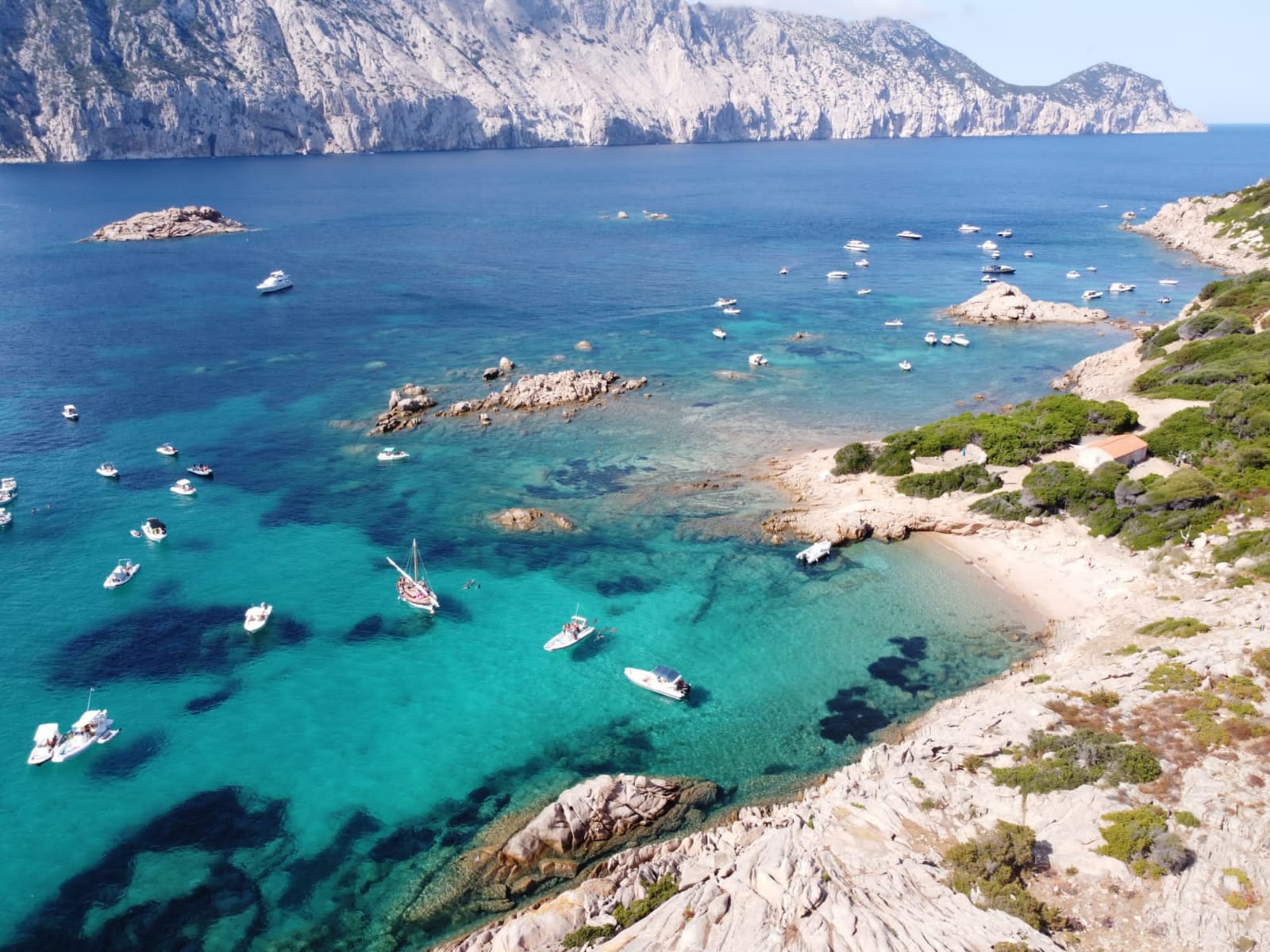 Escursione in gommone da San Teodoro all’isola di Tavolara
