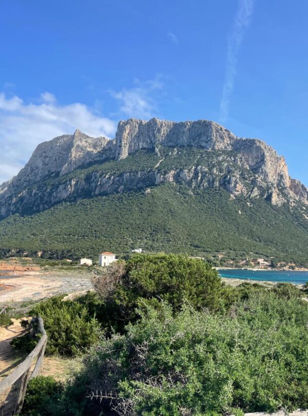 Isola tavolara. Vista panoramica dalla spiaggia di Tavolara